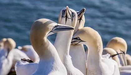 爱游戏体育_ 世界传统武术比赛，传承与创新的交融，传统武术大赛