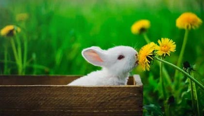 德甲争冠较量，RB莱比锡3-1战胜美因茨，突破性的战术变化帮助取得胜利