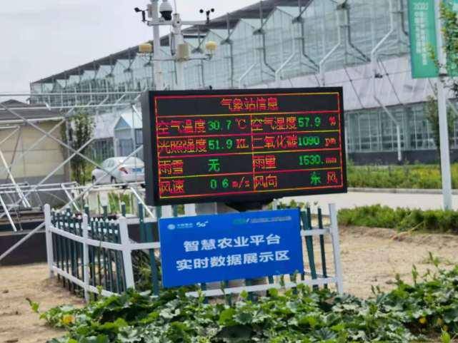 《云电竞、数字化赛事推动行业迈入智能时代》