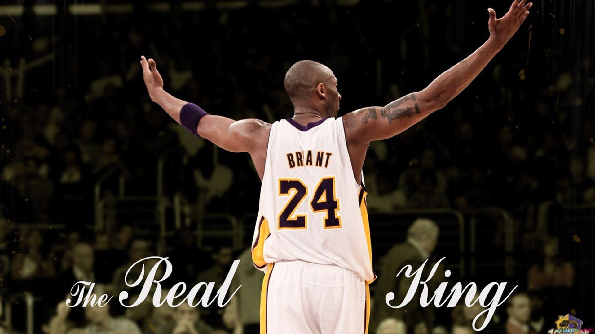 CBA新赛季期待值爆棚，球迷热情高涨，cba 新赛季