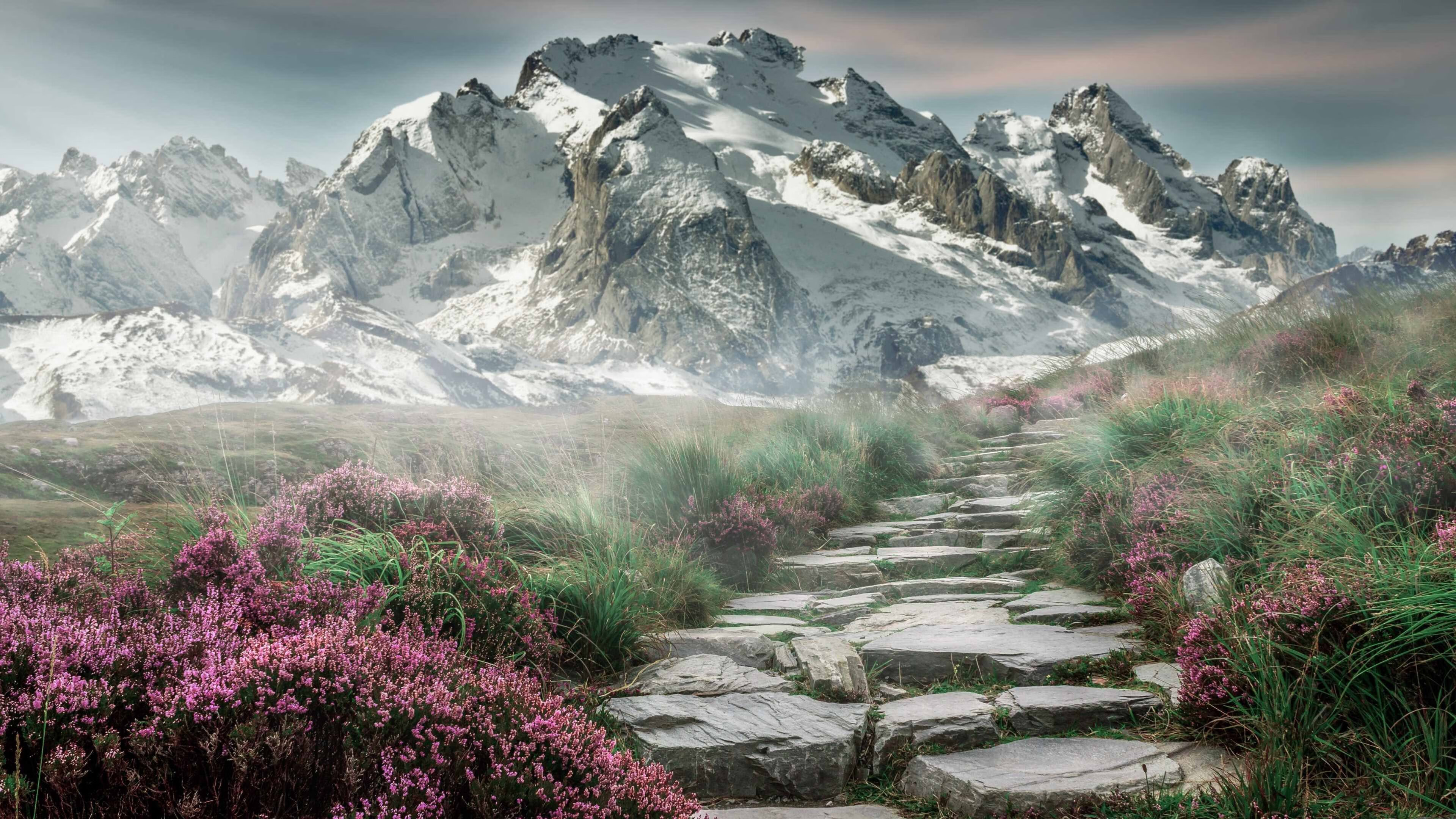 CBA联赛引入先进录像回放技术,裁判更加精准,cba录像回放规则