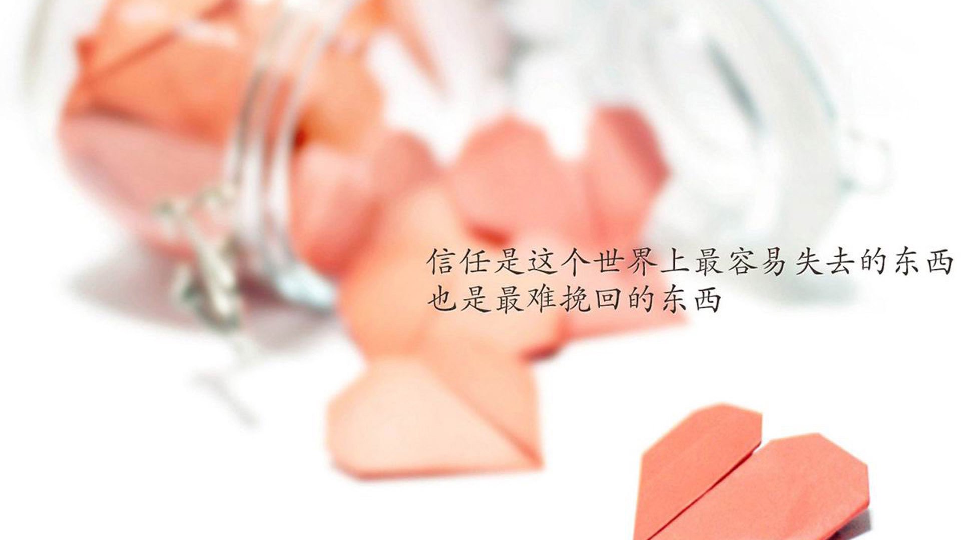 “意甲高校联赛,年轻力量不断崛起”,意甲联赛球队名单