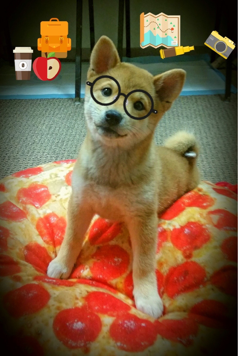 传奇“守门员”在欧冠舞台上的巅峰表现,守门员转会排行榜