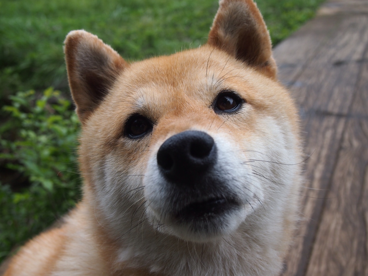 未来科技模拟赛车体验,冲刺未来运动,未来特技赛车