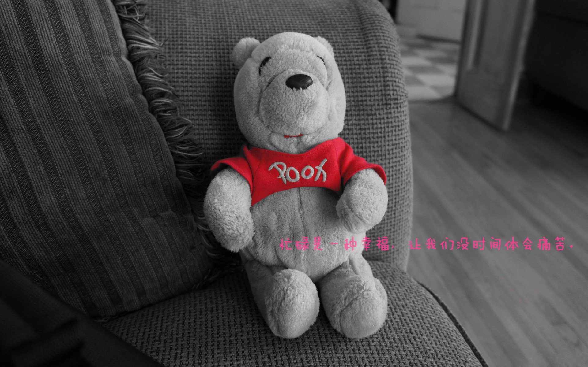 篮球运动员综合素质评价标准出台,篮球运动员基本素质