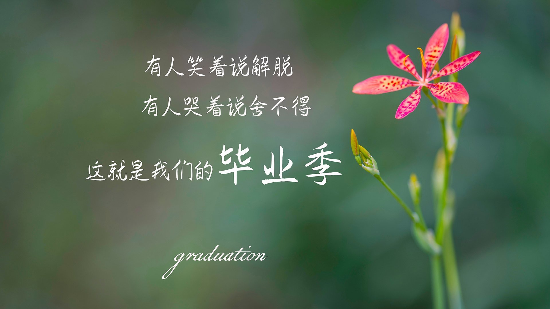 赛季“最震撼的逆转”:你绝对不能错过的逆袭奇迹,季后赛逆转