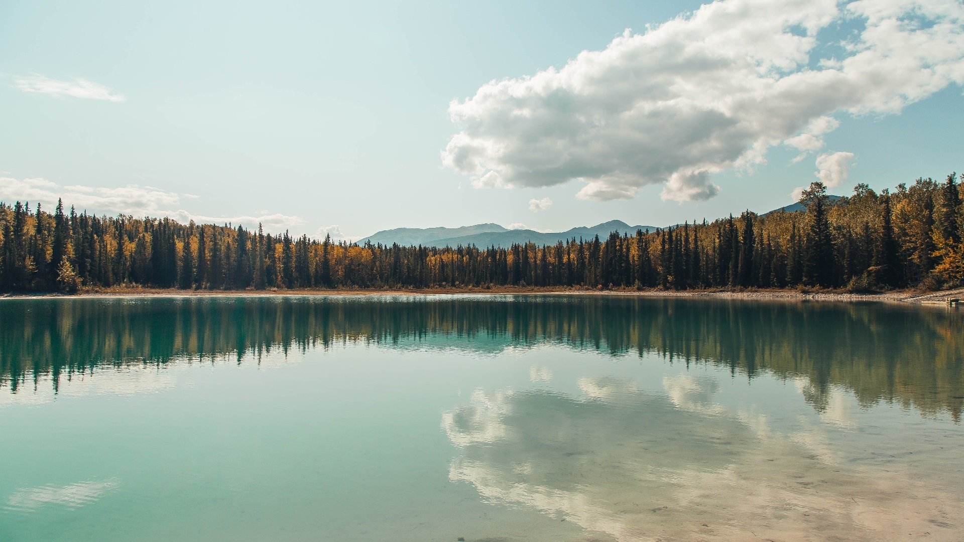 逆境中的队魂:那些战胜一切的球队故事,逆境中的队魂_那些战胜一切的球队故事