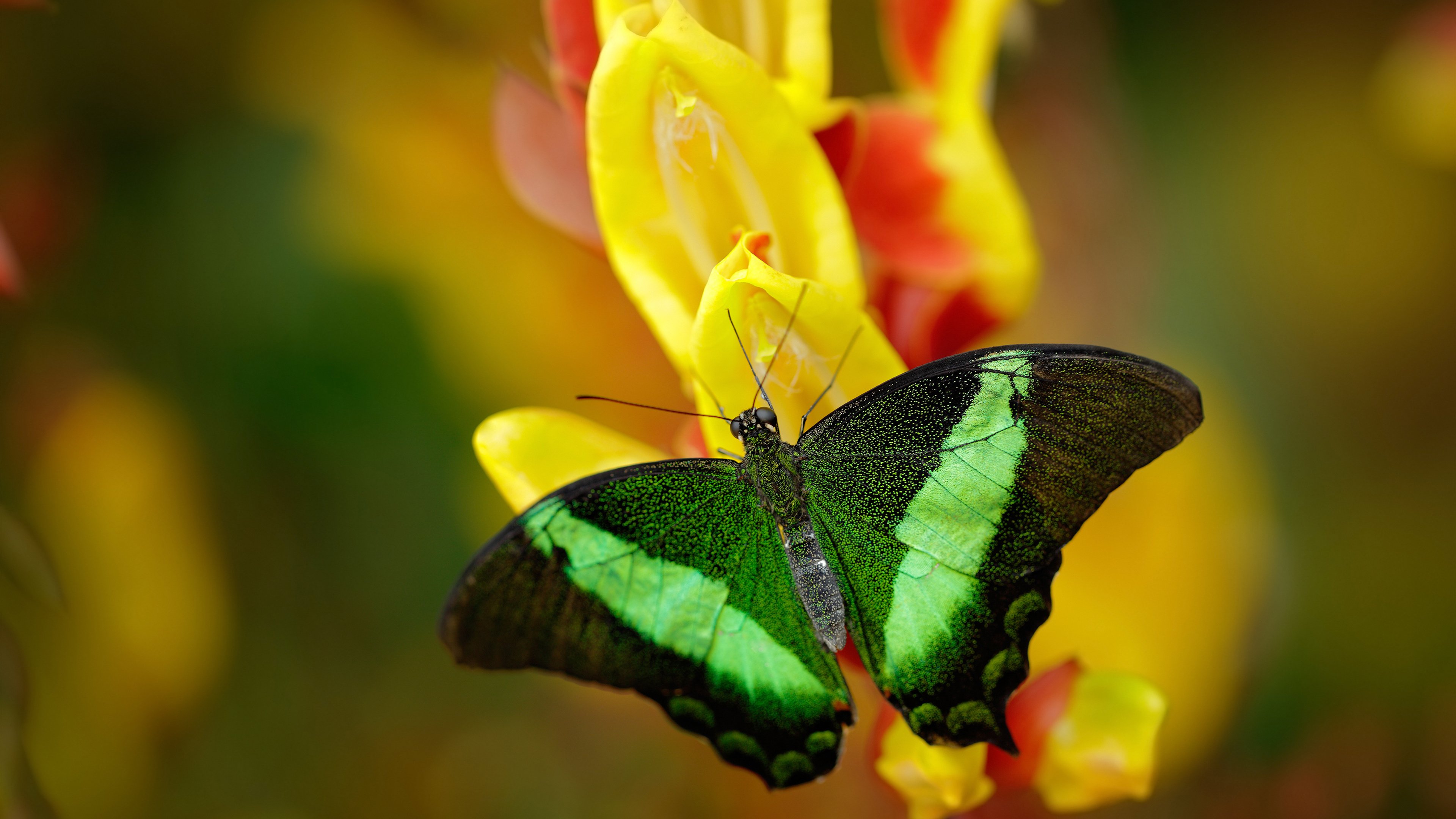 青训专家领衔打造青少年“成长型”培训体系,青少年培训项目有哪些