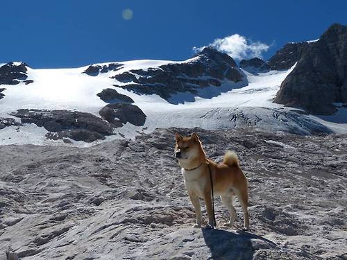 RB莱比锡主场大胜,压制对手在积分榜上,rb莱比锡历任主教练