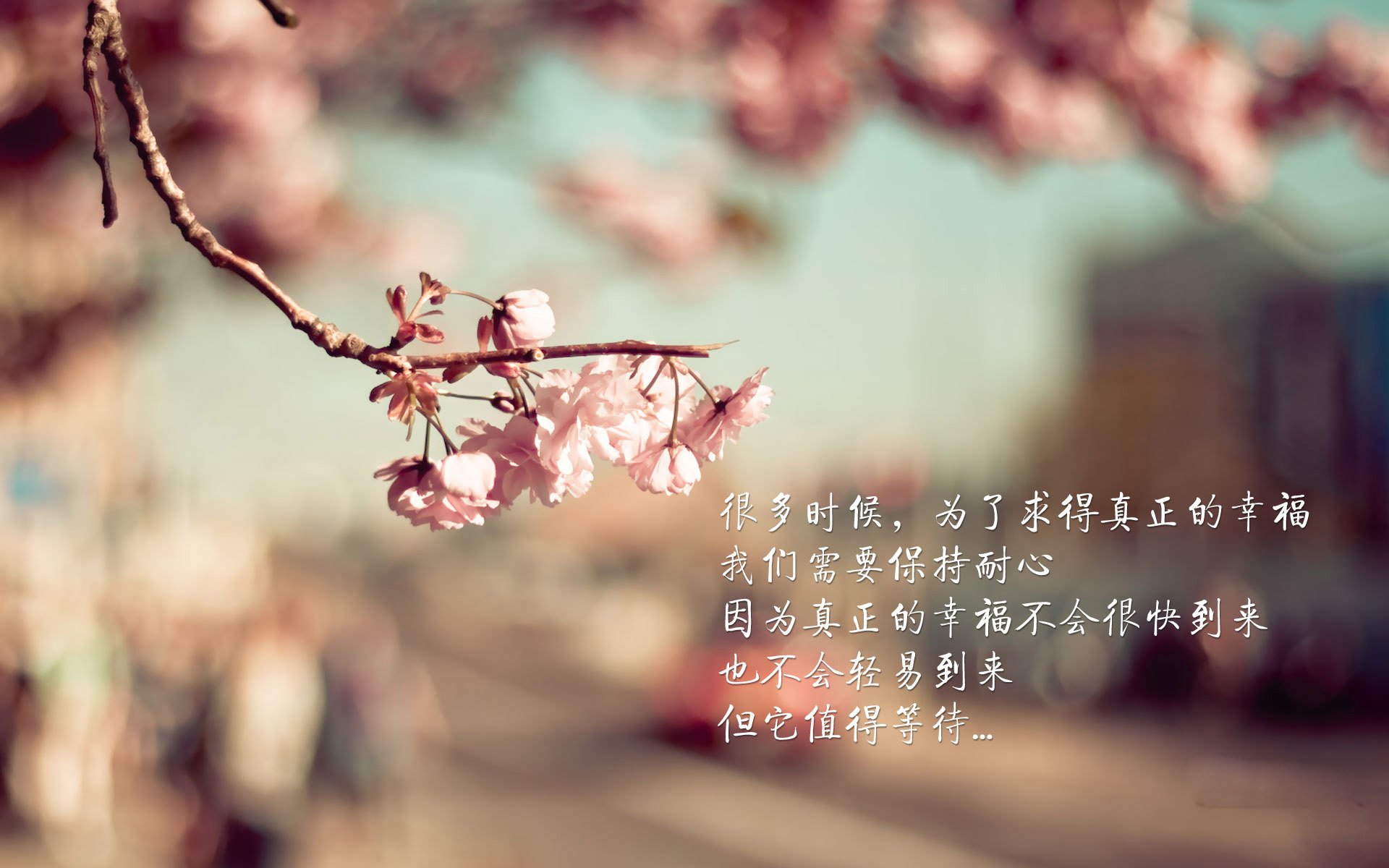 中国队在巴黎奥运会比赛中展现出强大的远射能力,里约奥运会中国打巴西