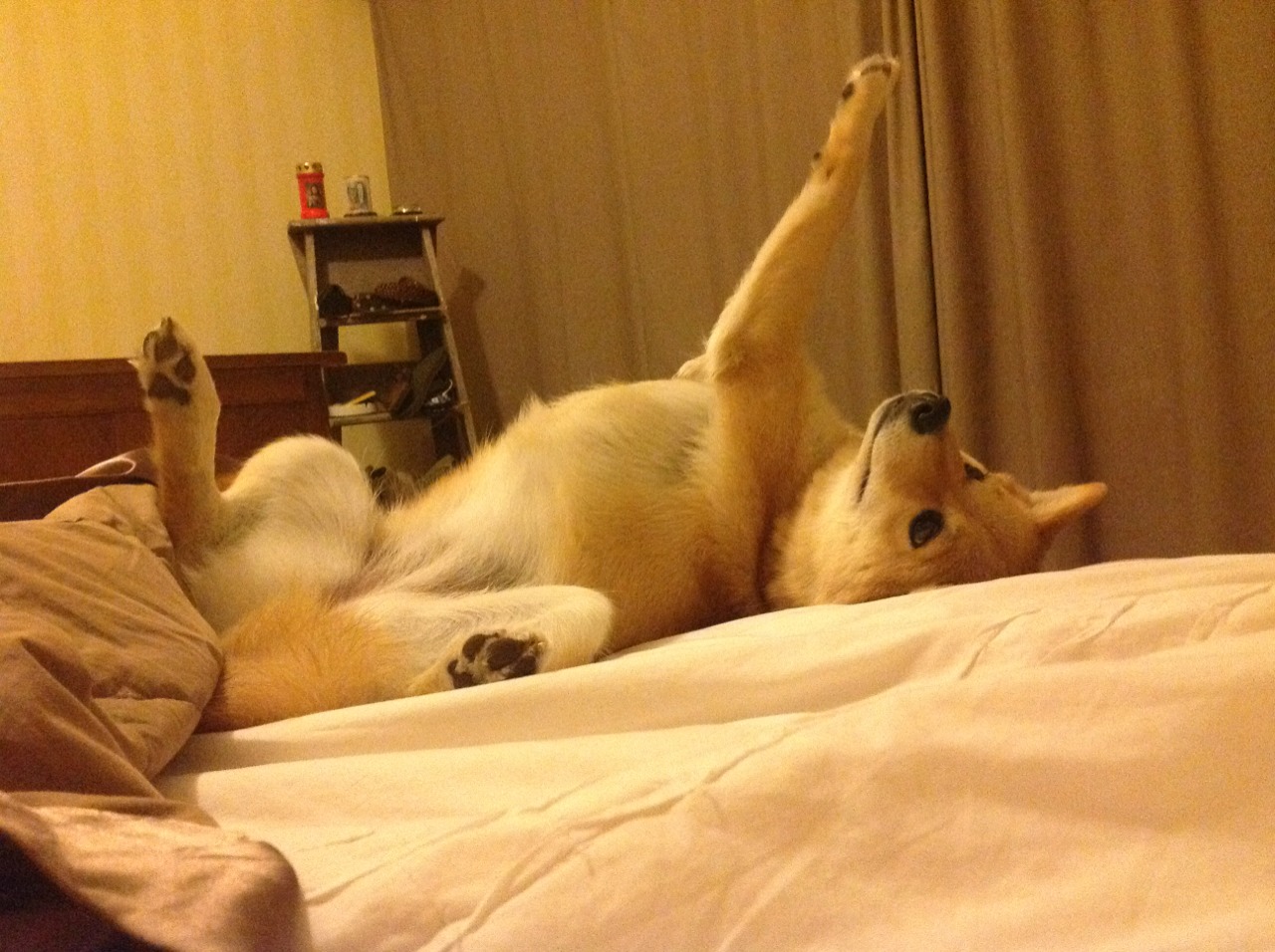 中国队在巴黎奥运会比赛中展现出强大的远射能力,里约奥运会中国打巴西