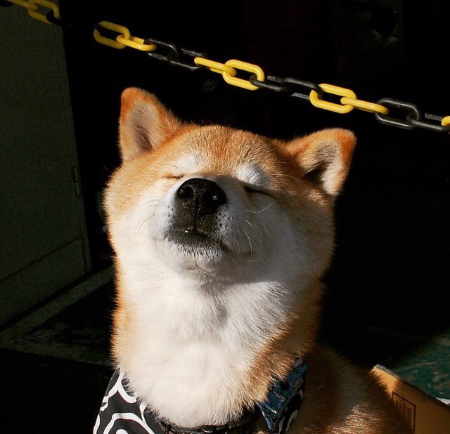 利物浦凭借战术取胜!客场反超强敌,晋级之道,利物浦的打法风格