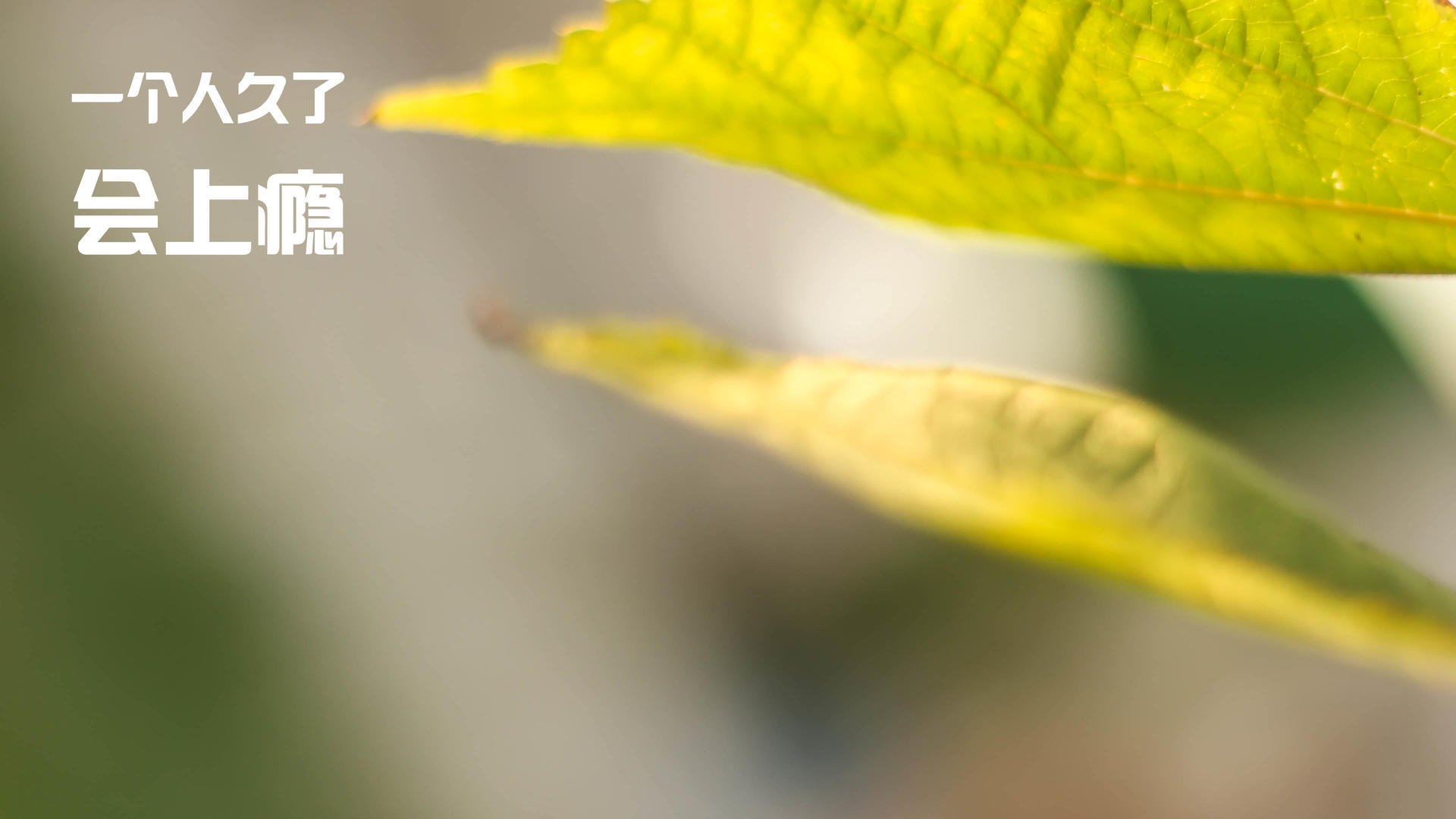 印度射击队在多个项目中获得金牌，表现抢眼。，印度射击队奥运成绩