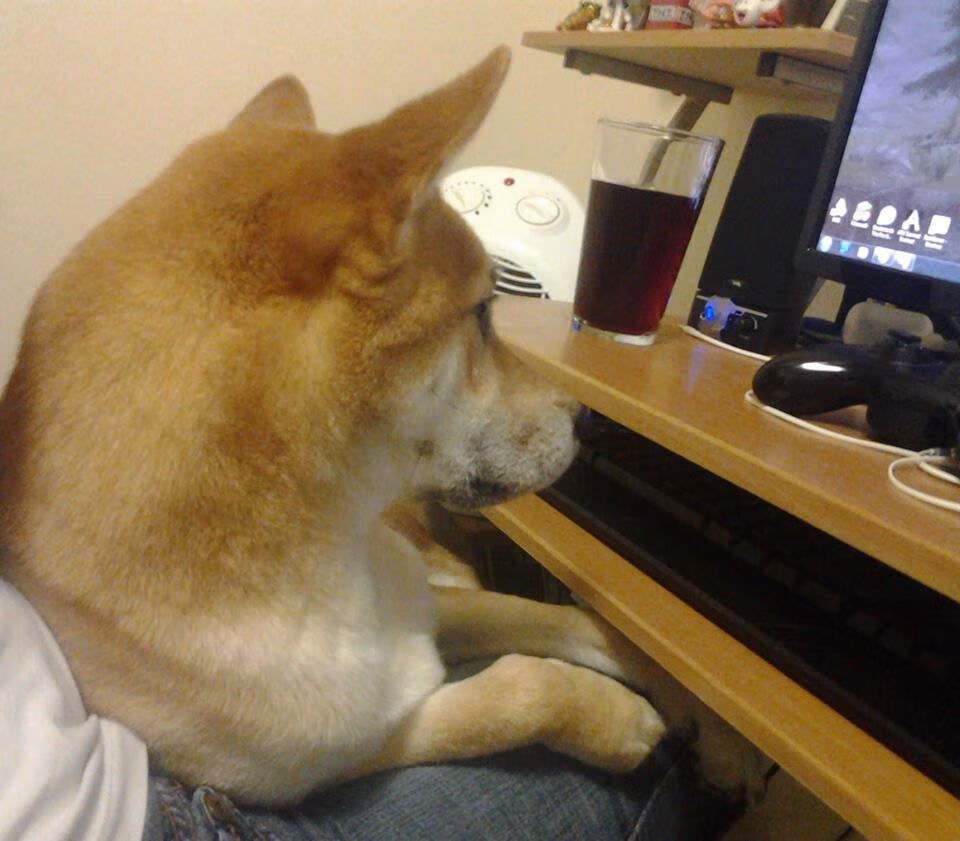 悉尼国王关键时刻发挥冷静,悉尼国王队球员名单