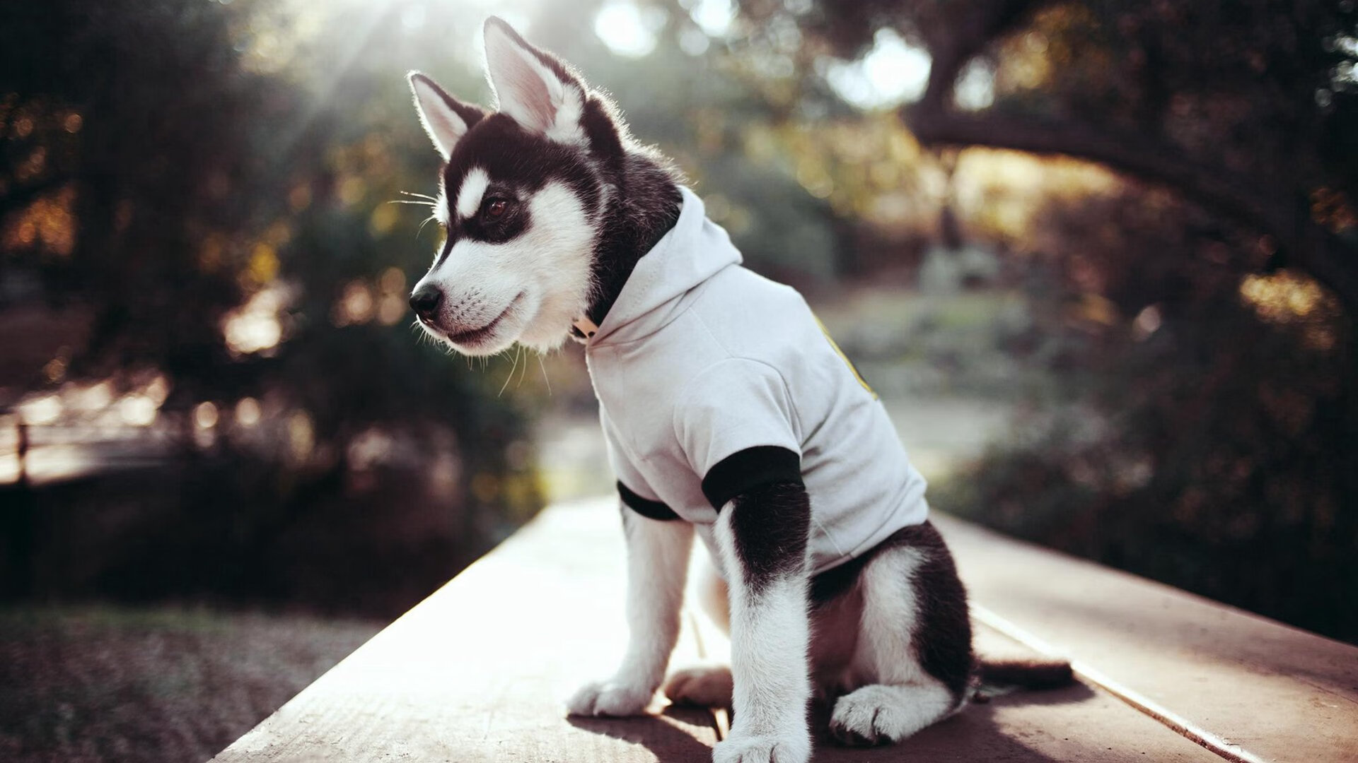 毕尔巴鄂大胜埃瓦尔,喜迎胜利,毕尔巴鄂竞技vs艾拉维斯