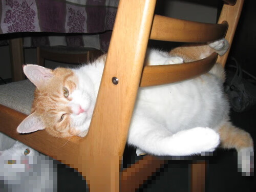 那不勒斯客场大胜，追赶积分榜前列，那不勒斯队员主力