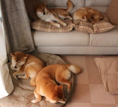 世俱杯决赛：全球顶级俱乐部争夺唯一荣耀，世俱杯2021