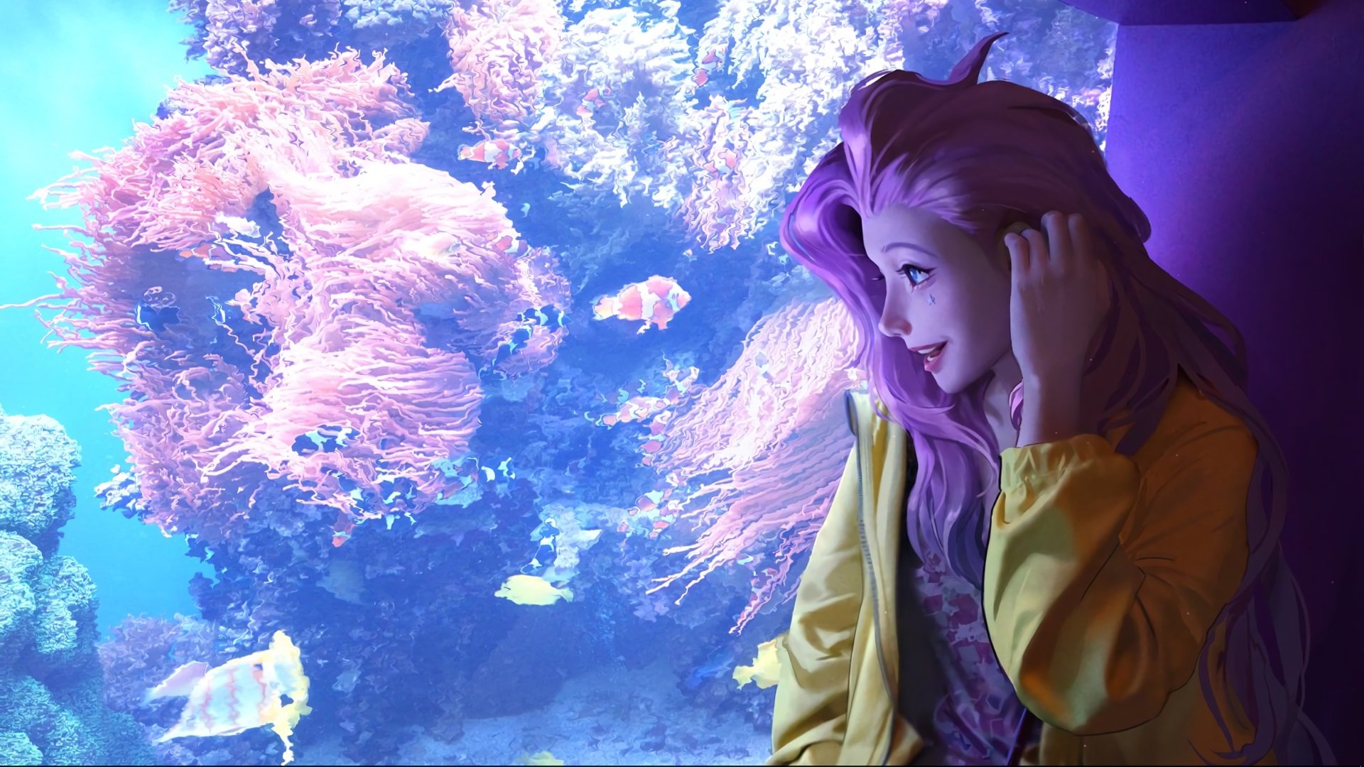 中国篮球联赛品牌建设及粉丝经济研究,国内篮球职业联赛