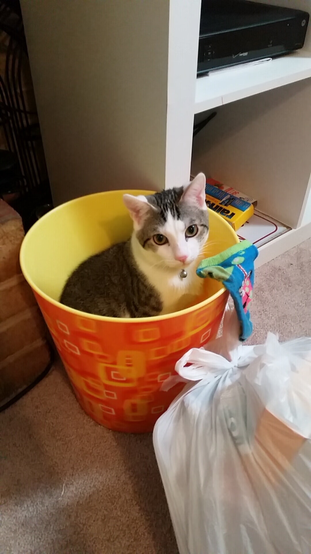 CBA联盟推动裁判专业化发展进程，cba的裁判归谁管