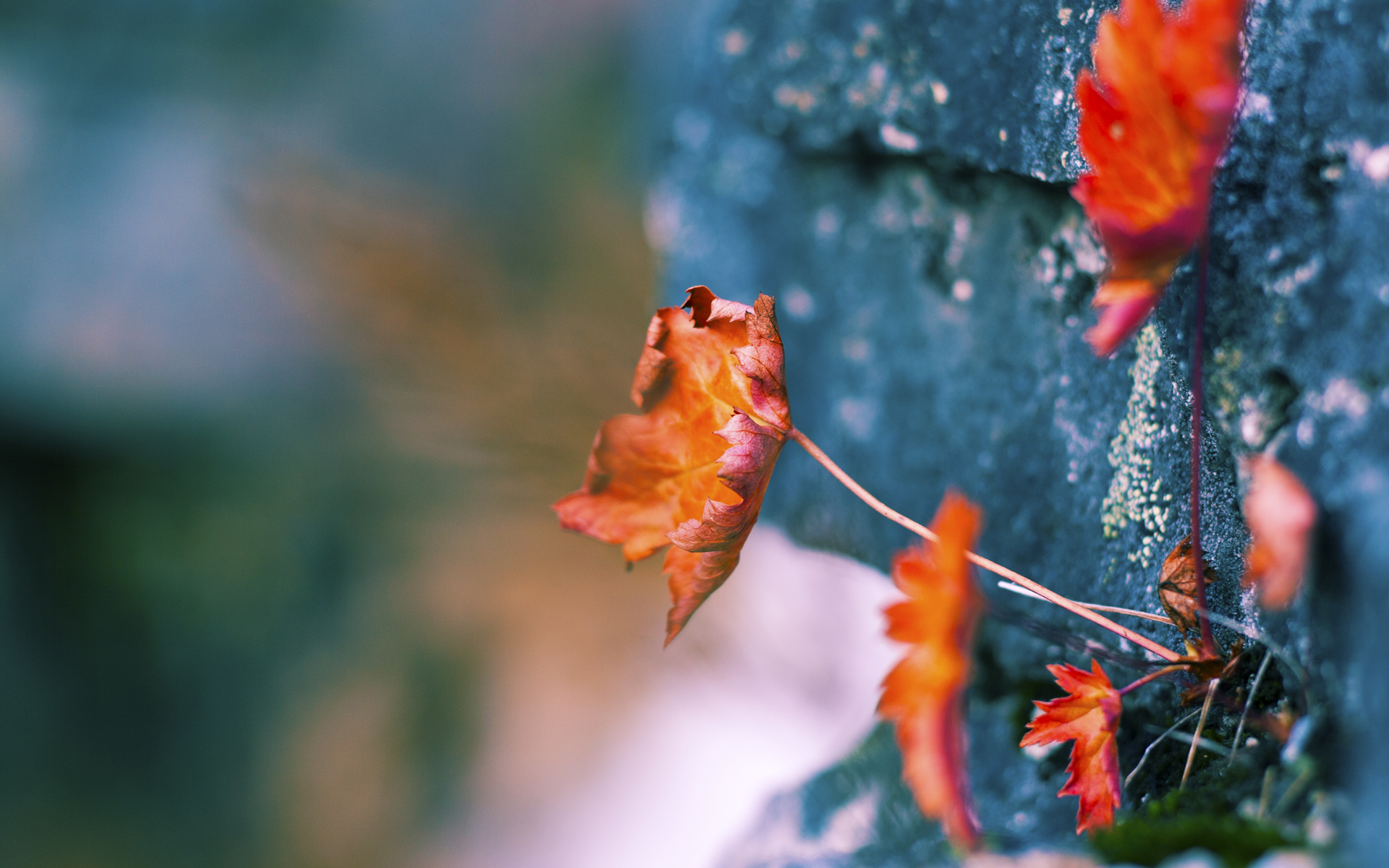 “武汉马拉松：耐力之王的角逐”