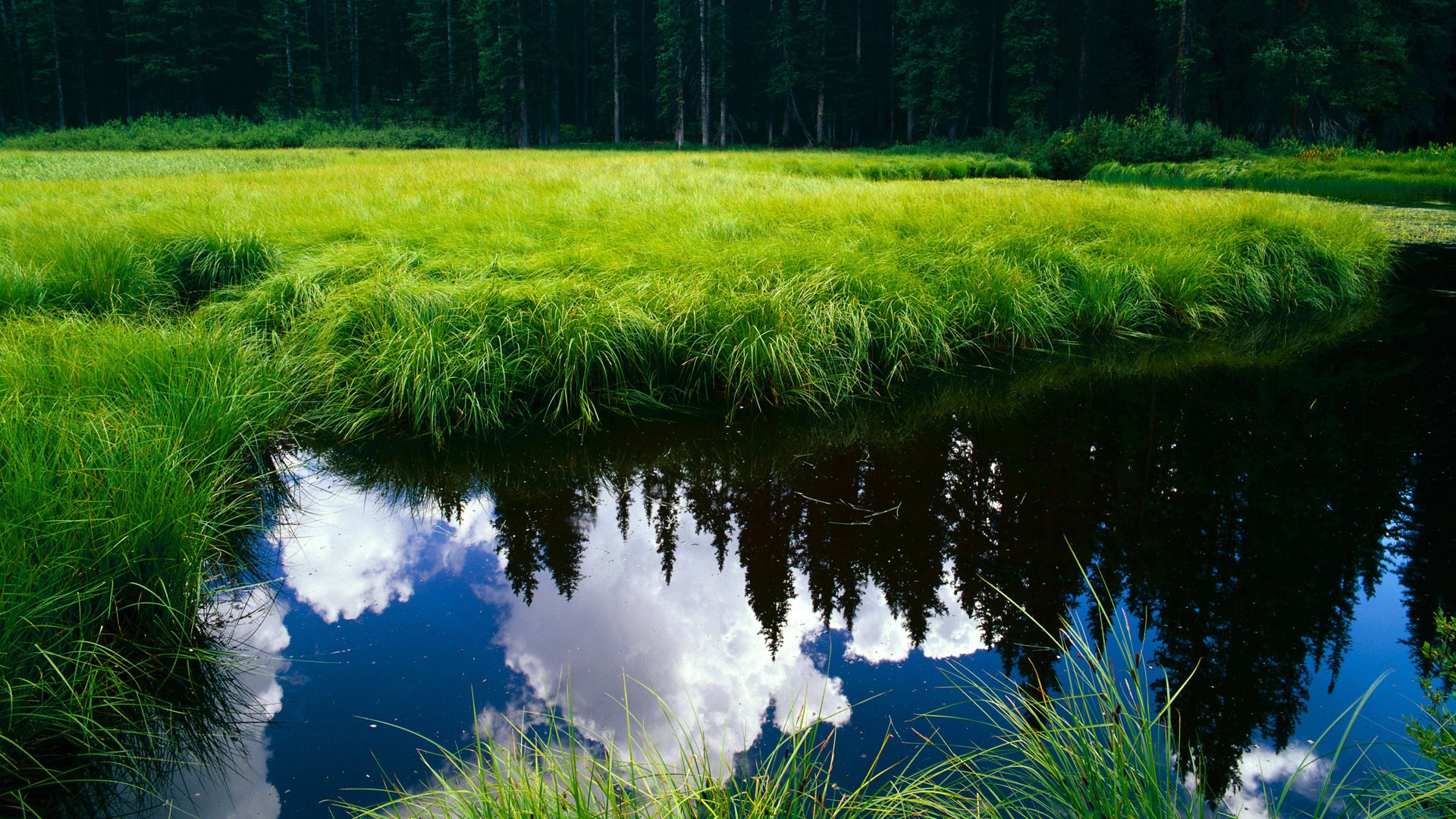 中国足球国际影响力有限，影响中国足球是足协吗