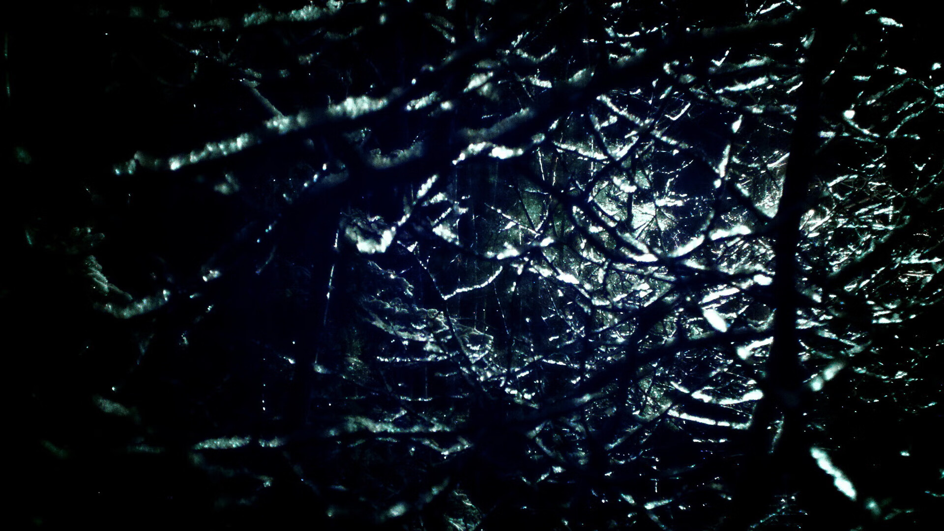 冬奥志愿者故事被拍成纪录片走红网络，冬奥志愿者的故事