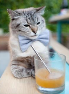 明星运动员公益行动广受好评，明星公益活动有哪些