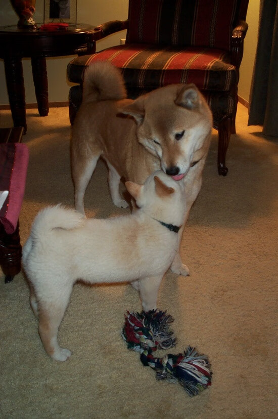 吉尔吉斯斯坦水球攻防转换迅速，吉尔吉斯斯坦水资源丰富的原因