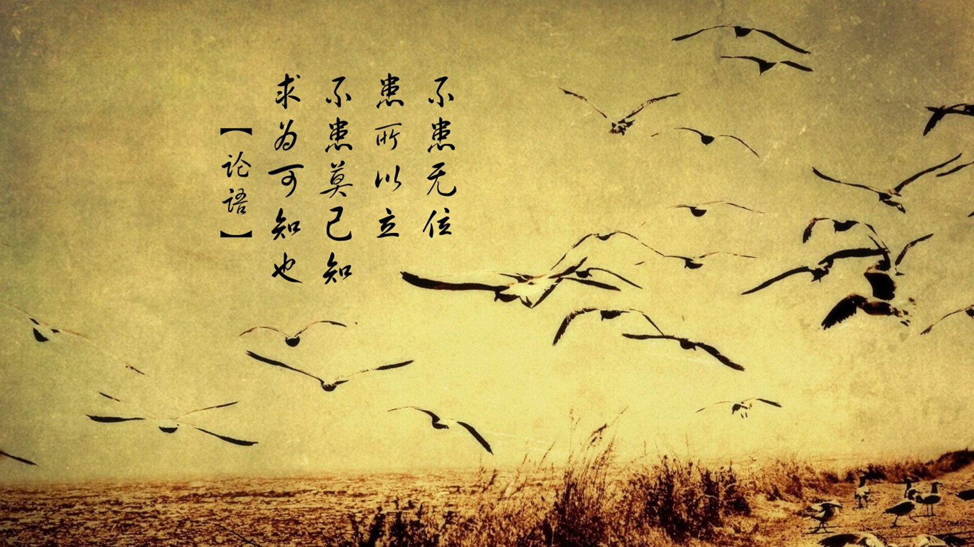 国足门将扑点成比赛最大功臣,国足门将训练