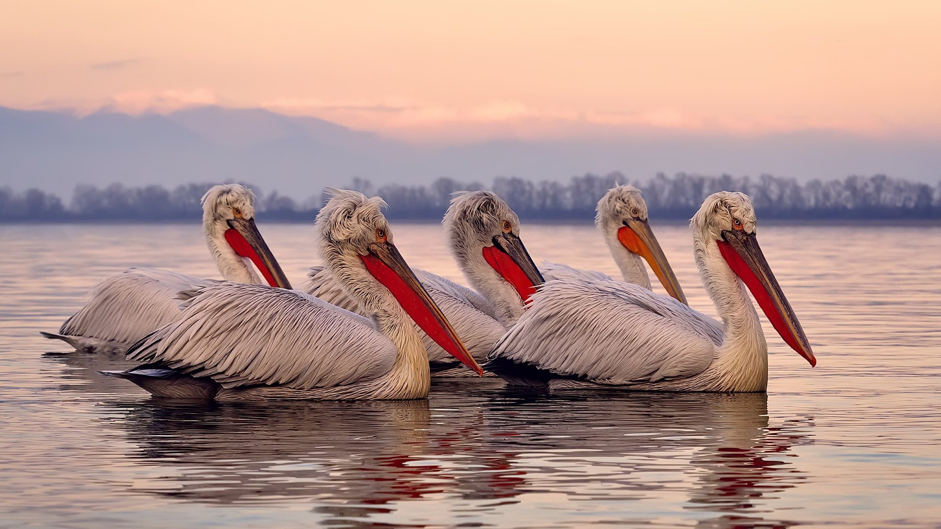 米兰双雄新赛季蓄势待发，争夺意甲桂冠