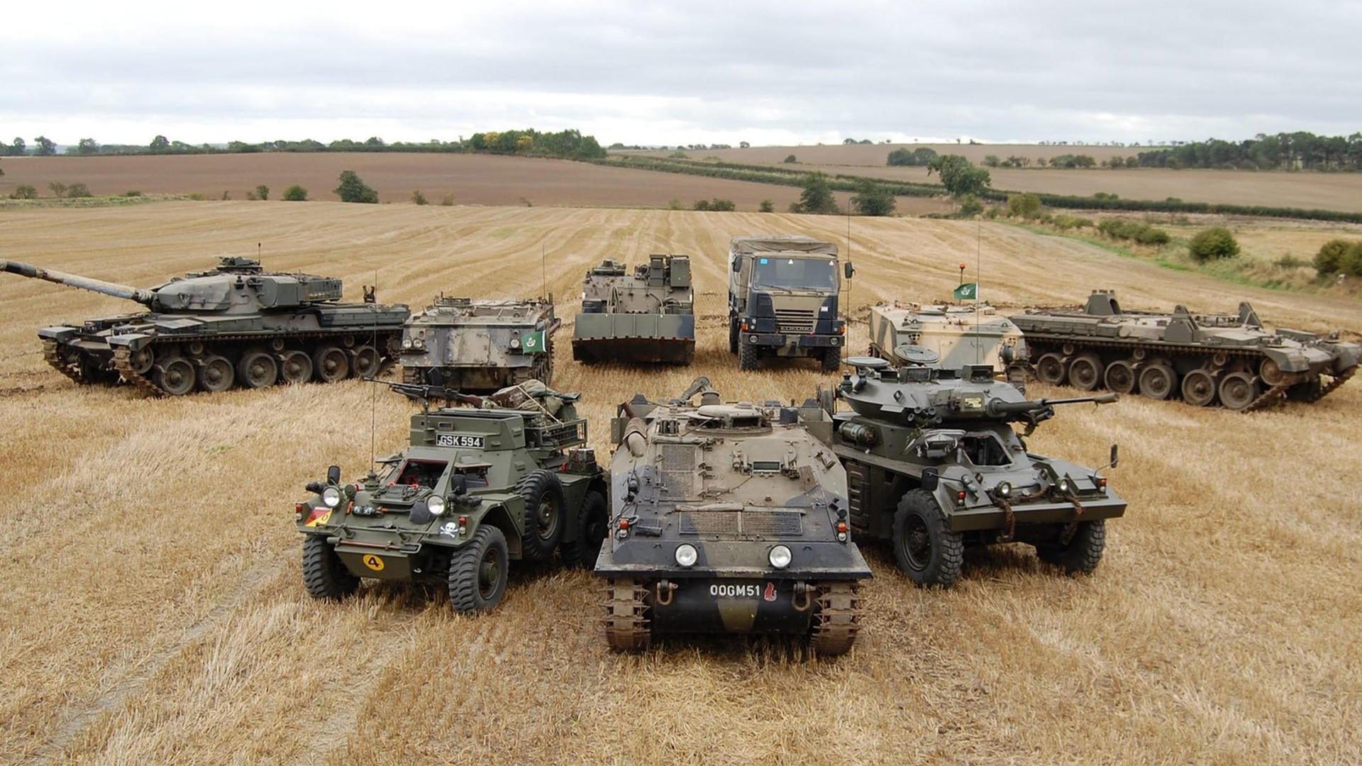 荷兰仰泳技术细节打磨到位，仰泳speedo